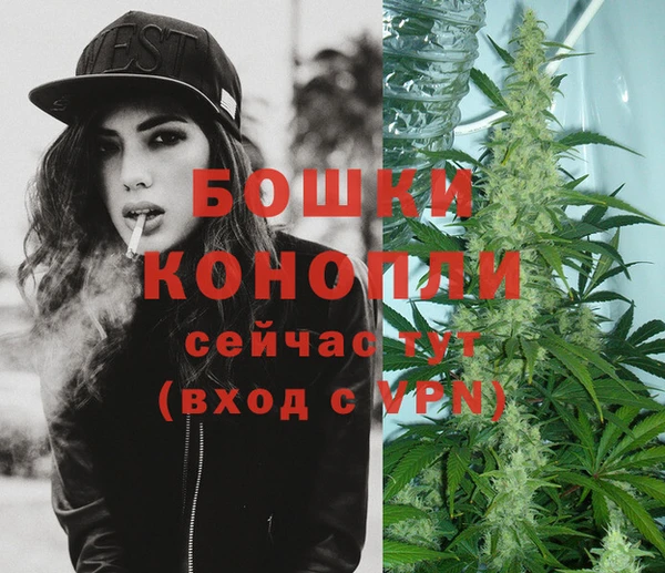 прущая мука Вяземский