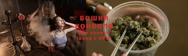 прущая мука Вяземский