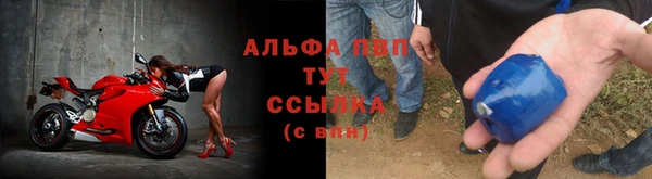 прущая мука Вяземский