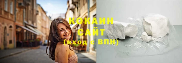 прущая мука Вяземский