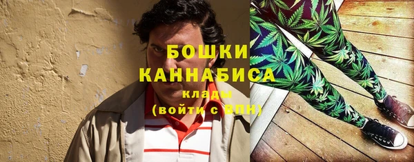 прущая мука Вяземский