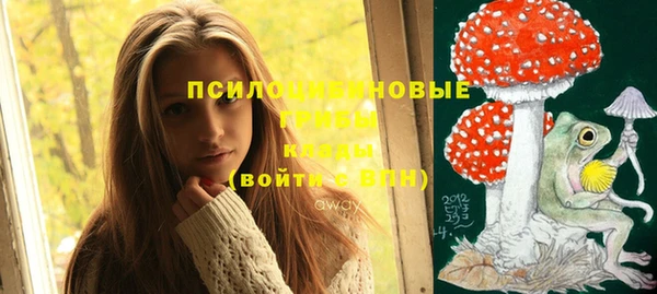 прущая мука Вяземский